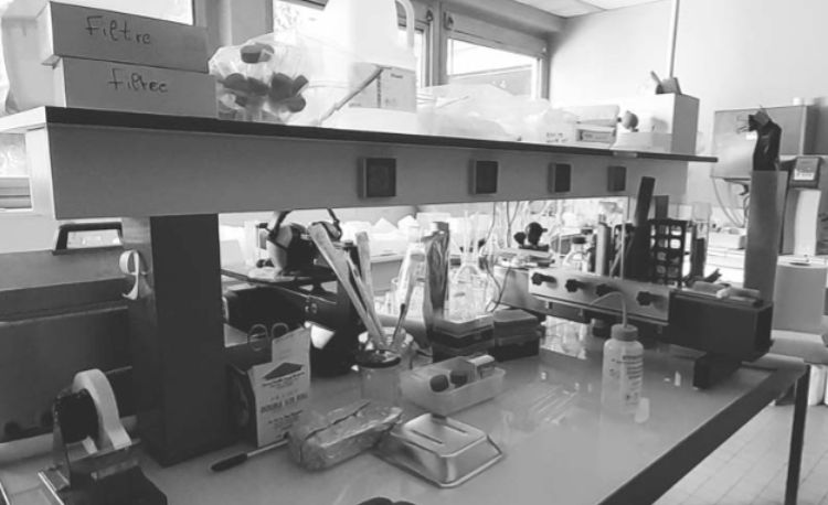 Formation de formateur-acteur PRAP IBC à Montpellier